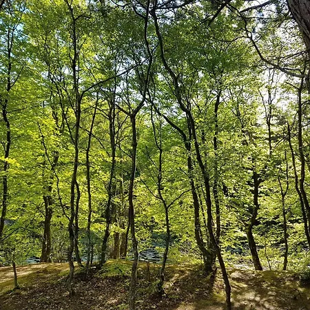 Family Retreat In Lodskovvad - By Traum Nyaraló