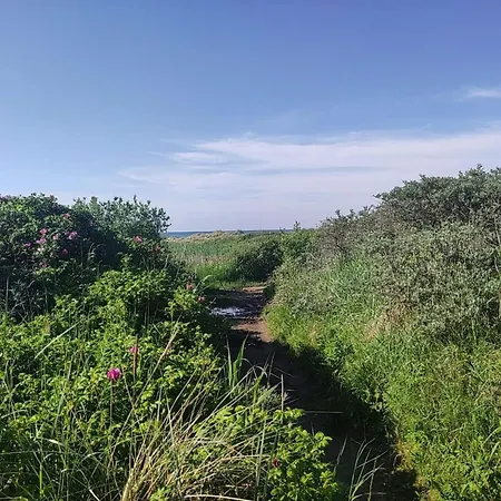 Nyaraló Family Retreat In Lodskovvad - By Traum Ålbæk